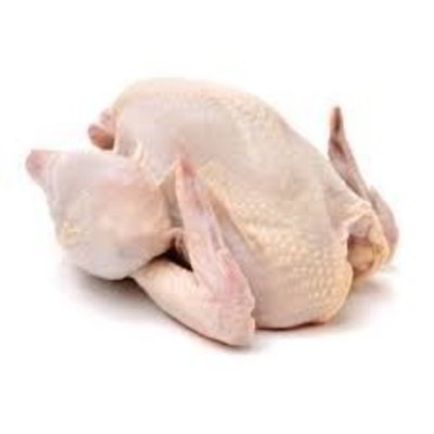 Busto di gallina sfuso