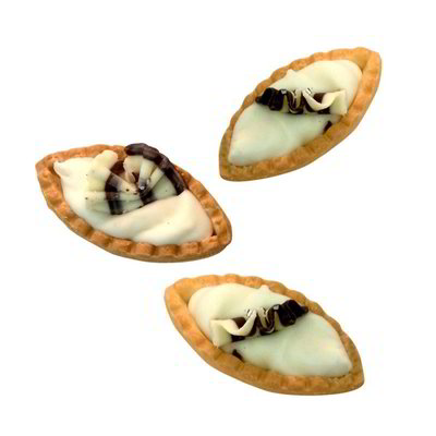 Dolce a barchetta con cioccolato bianco