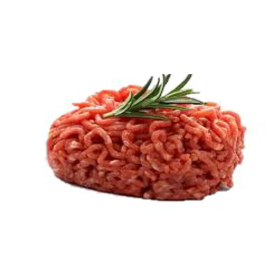 Macinato di equino