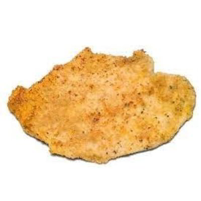 Cotoletta alla palermitana