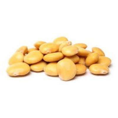 Lupini