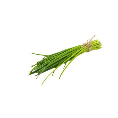 Erba cipollina fresca