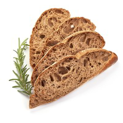 Ciabatta con farina integrale
