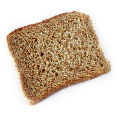 Bruschette con chicchi di soia