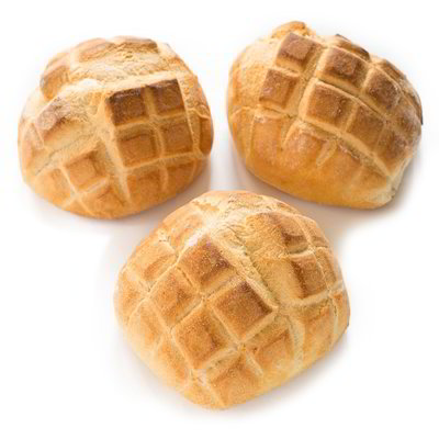 Tartaruga
