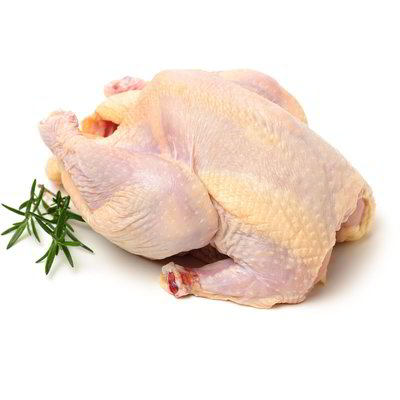 Busto di pollo disossato