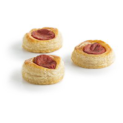 Pizzette al pomodoro