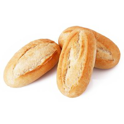 Panini conditi