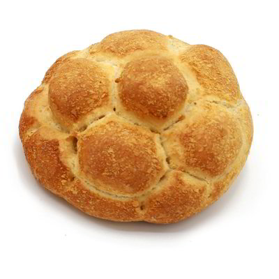 Panini mignon integrali