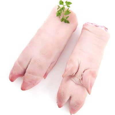 Piedi di suino