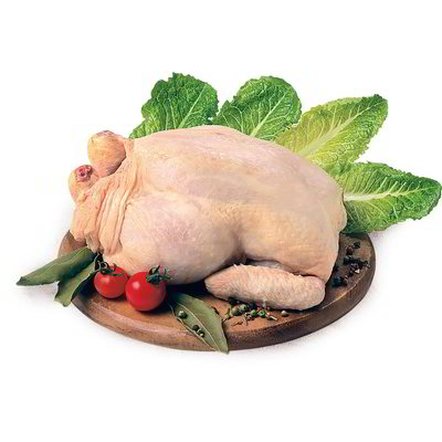 Busto di pollo bianco