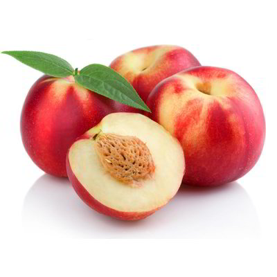Pesche bianche