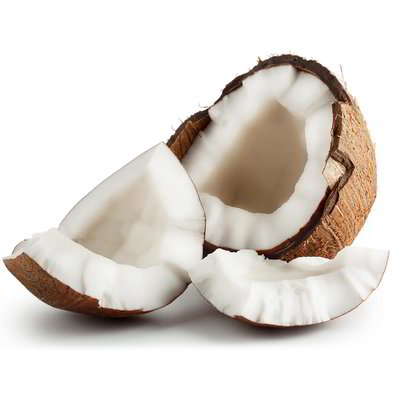 Noce di cocco