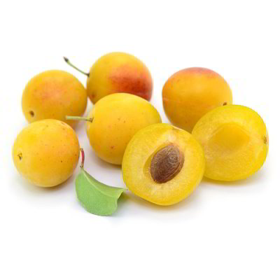 Susine gialle