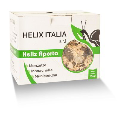 Lumaca monzetta