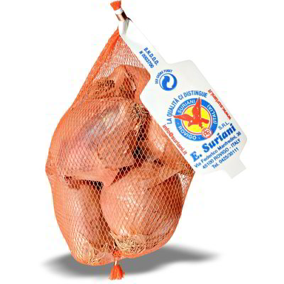 Scalogno