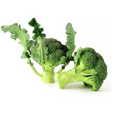 Broccoletti