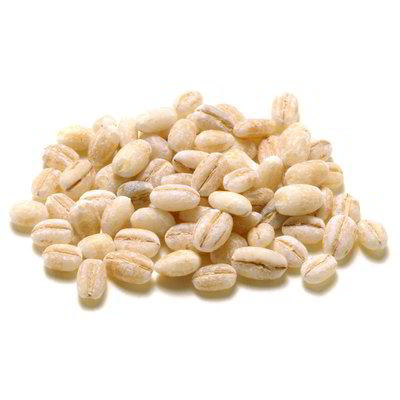 Orzo perlato
