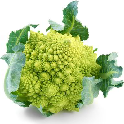 Cavolo romanesco