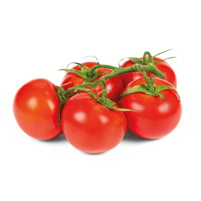 Pomodoro in grappolo