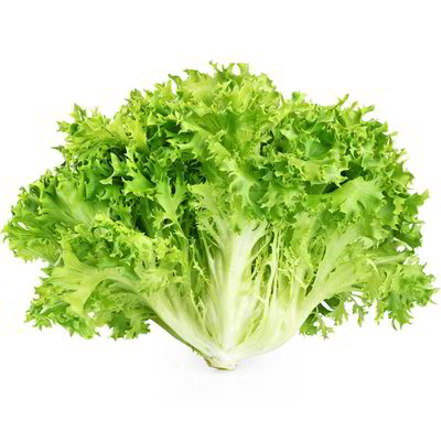 Insalata riccia 3 pezzi