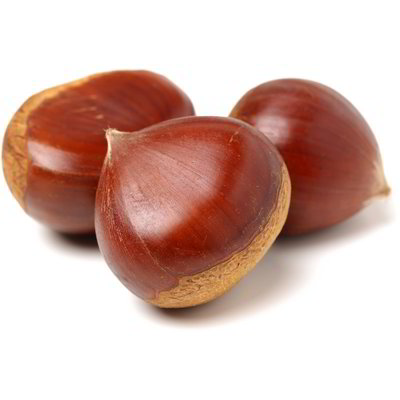 Marroni dell'Etna