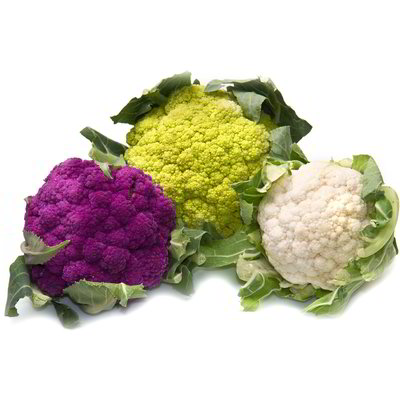 Rosette miste di cavolo