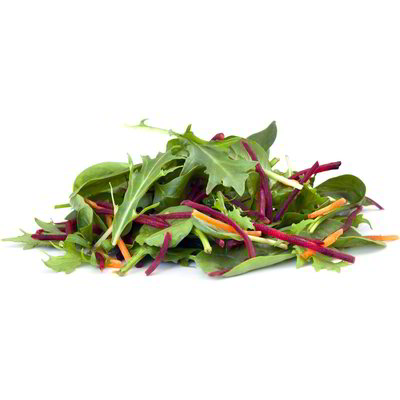 Insalata gioiosa