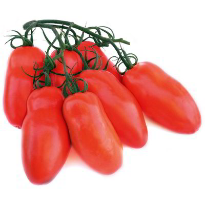Pomodoro oblungo rosso