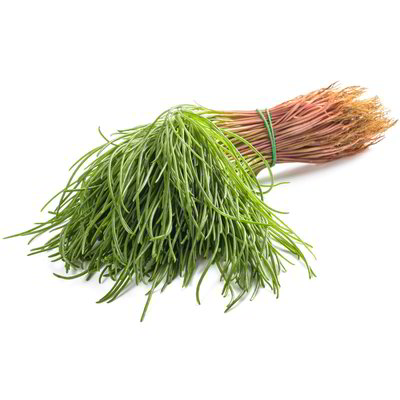 Agretti