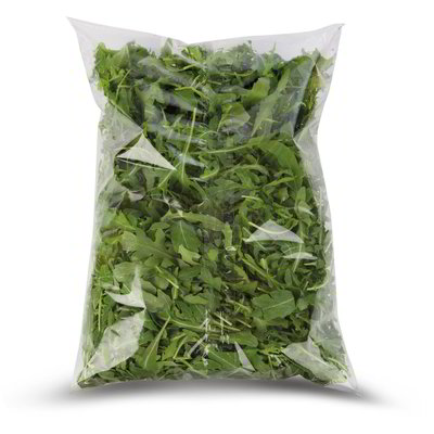 Rucola