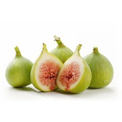 Fichi