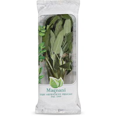 Salvia fresca