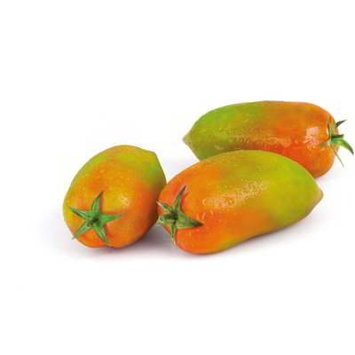 Pomodoro oblungo