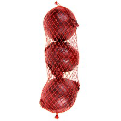 Cipolla salsiera