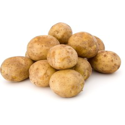 Patate di montagna