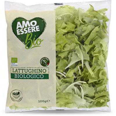 Insalata lattughino Bio