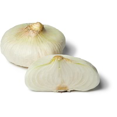 Cipolla da forno