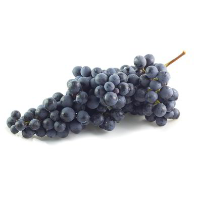 Uva fragola