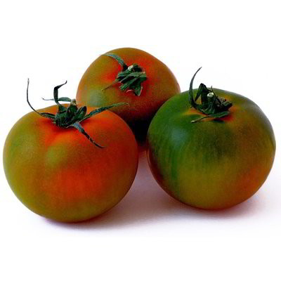 Pomodoro camone