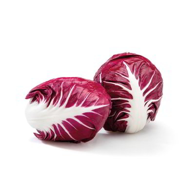 Radicchio tondo