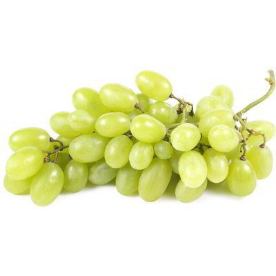 Uva bianca Bio