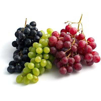 Uva bianca e rossa bio