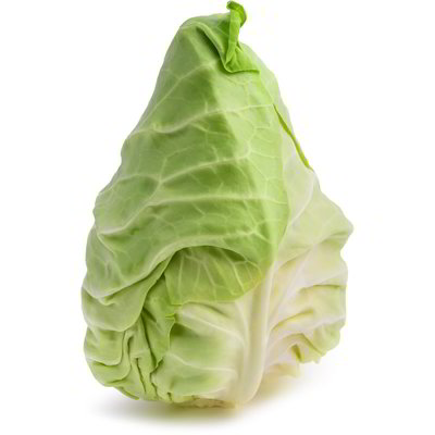 Cavolo cappuccio cuore