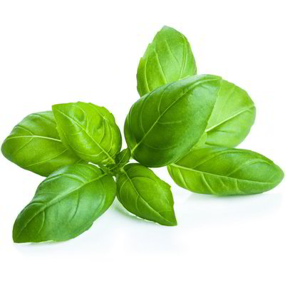 Basilico aromatico mix