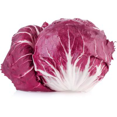 Radicchio di Chioggia IGP