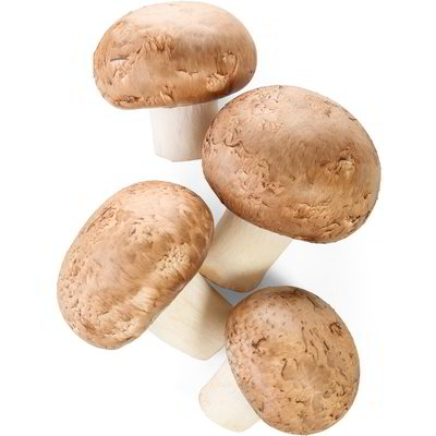 Funghi cremini Bio