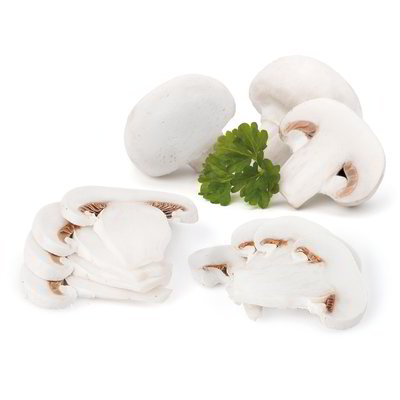 Funghi champignon