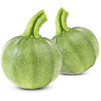 Zucchine tonde