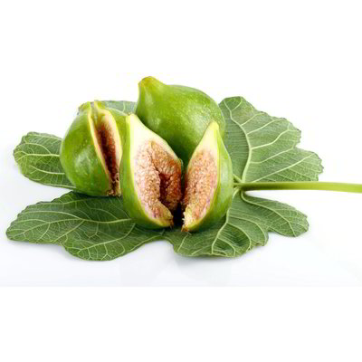 Fichi fioroni